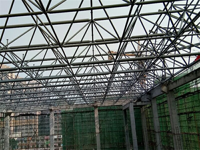 甘肃光谷第十一小学网架